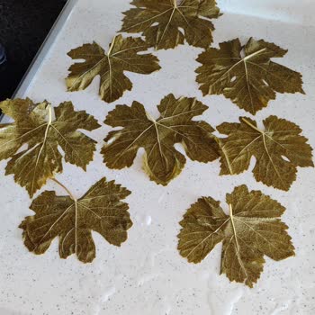 Tanıtılan Yaprakla Gönderilen Ürün Arasında Büyük Fark Yaşadım