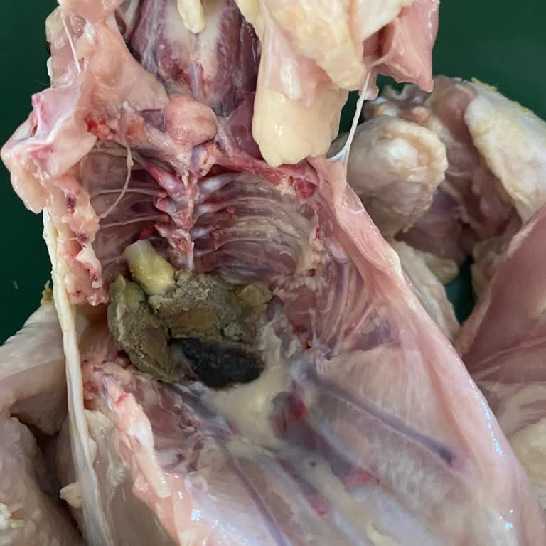 Migros Sanal Market'ten Gelen Et Ve Tavuk Ürünlerinde Sürekli Sorun Yaşıyorum