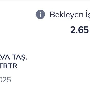 Pegasus Yanlış Tarihe Kesilen Bilet Nedeniyle Mağduriyet Ve Evcil Hayvan İçin Yer Sorunu