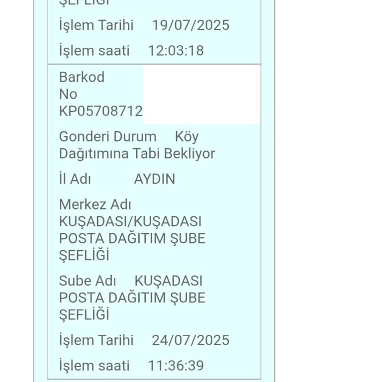 PTT Kargo Şehir Merkezinde Kargomu Teslim Etmiyor, Mağdur Oldum