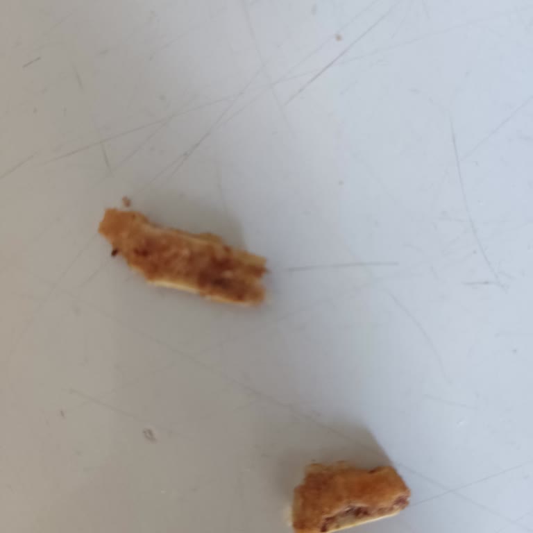 Ekmeğin İçinden Çıkan Odun Parçalarıyla Yaşadığım Olumsuz Deneyim