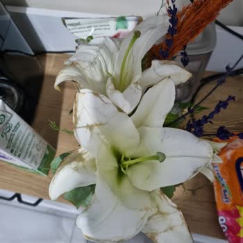 Siparişim Solmuş Ve Eksik Teslim Edildi, Mağdur Edildim