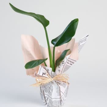 Yanlış Çiçek Teslimatı: Siparişimle Alakasız Ürün Gönderildi