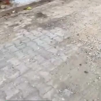 Mahalle Yol Şikayeti