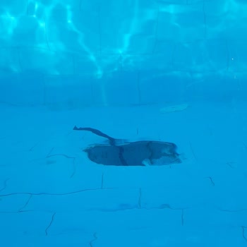 Havuzdaki Kablo Nedeniyle Ayağım Kesildi, Otel Yönetimi İlgisiz Kaldı