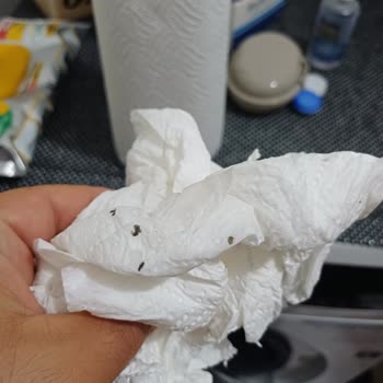 Bosch Çamaşır Makinesinde Küf Ve Boya Sorunu