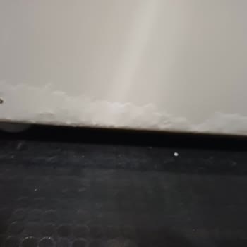 Bosch Çamaşır Makinesinde Küf Ve Boya Sorunu