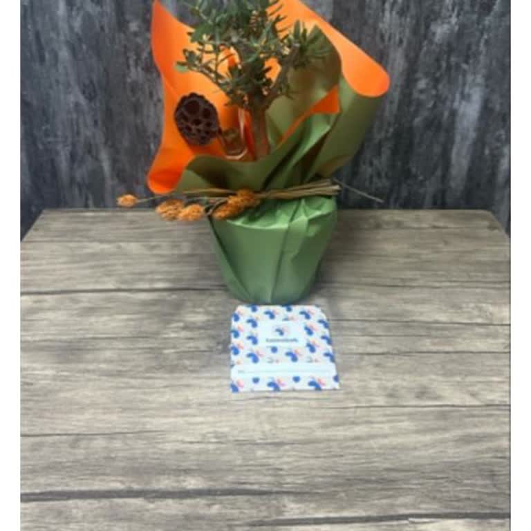 Siparişimde Gönderilen Zeytin Ağacı Beklediğimden Çok Küçük Çıktı