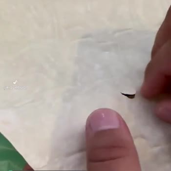 Oses Çiğköfte Lavaştan Kıl Çıktı