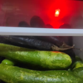 Sebzelik Bölmesi Ürünleri Donduruyor, Değişim Talebimiz Karşılanmıyor