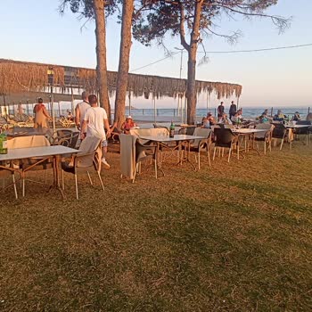 Royal Beach Club Otelde Hijyen Eksikliği Ve Güvenlik Sorunlarıyla Büyük Hayal Kırıklığı