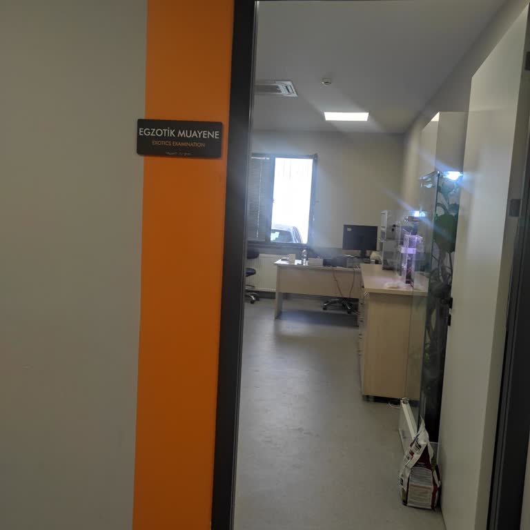 Hayvan Hastanesinde İlgisizlik Ve Bilgi Eksikliği: Kuşumun Akıbetini Bilmiyorum