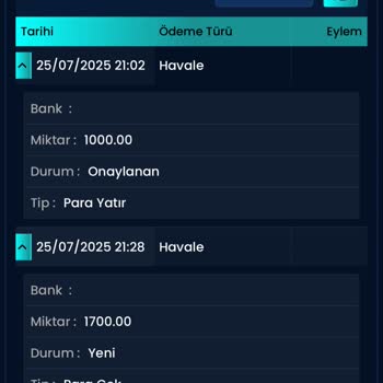 Palaswin Sitesinde Yaşanan Olumsuz Deneyim Ve Güven Sorunu