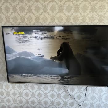 Regal Televizyonumda Garanti Sonrası Peş Peşe Arızalar Ve Yüksek Tamir Ücreti