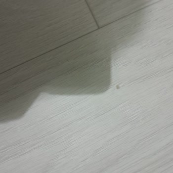 Laminat Parkelerde Sürekli Sorun Ve Çözüm Sürecinde Gecikme