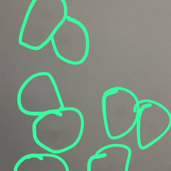 Teknik Servis Sonrası İphone Kameramda Toz Sorunu Yaşadım