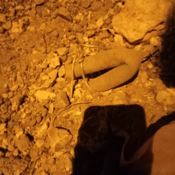 Elektrik Direkleri Yenilendi Su Borusu Koptu Bahçemiz Kurudu