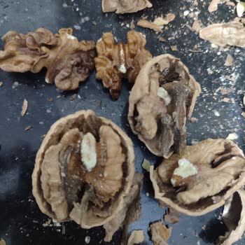 Aldığım Cevizler Çürük Ve Kurtlu Çıktı, Param Boşa Gitti