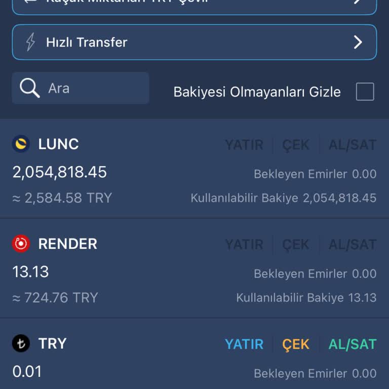 Bitexen'de Coin Transferi Ve Destek Sorunu Yaşıyorum