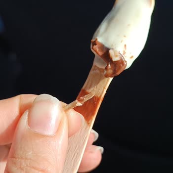 Dondurma İçinden Ahşap Parça Çıkmasıyla Yaşanan Tehlike