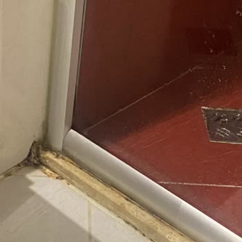 Amon Hotels Evcil Hayvan Politikası Ve Hizmet Kalitesi Nedeniyle Mağduriyet Yaşadık