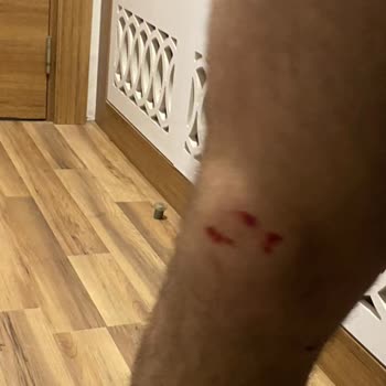 Amon Hotels Evcil Hayvan Politikası Ve Hizmet Kalitesi Nedeniyle Mağduriyet Yaşadık