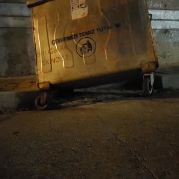 Tuzla Belediyesi Çöp Konteyneri Sorumsuzluğu