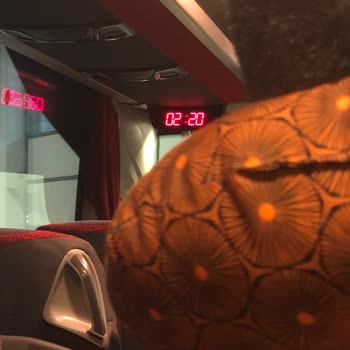 Varan Turizm Gecikmesi Ve Eski Otobüsle Yaşanan Mağduriyet