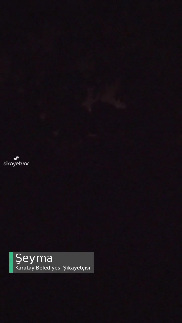 Karatay Belediyesi Gece Sürekli Havlayan Köpek Rahatsızlığı! videonun kapak resmi