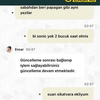 Bakiyem Saatlerdir Hesabıma Eklenmiyor Destek Yetersiz