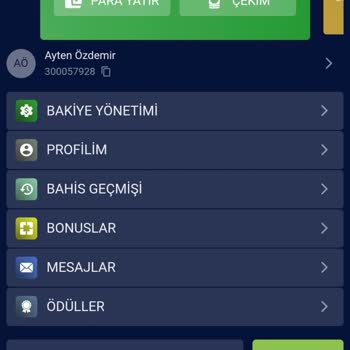 Kimlik Onayı Ve Çekim Sorunu Yaşadım, Bakiyem Silindi