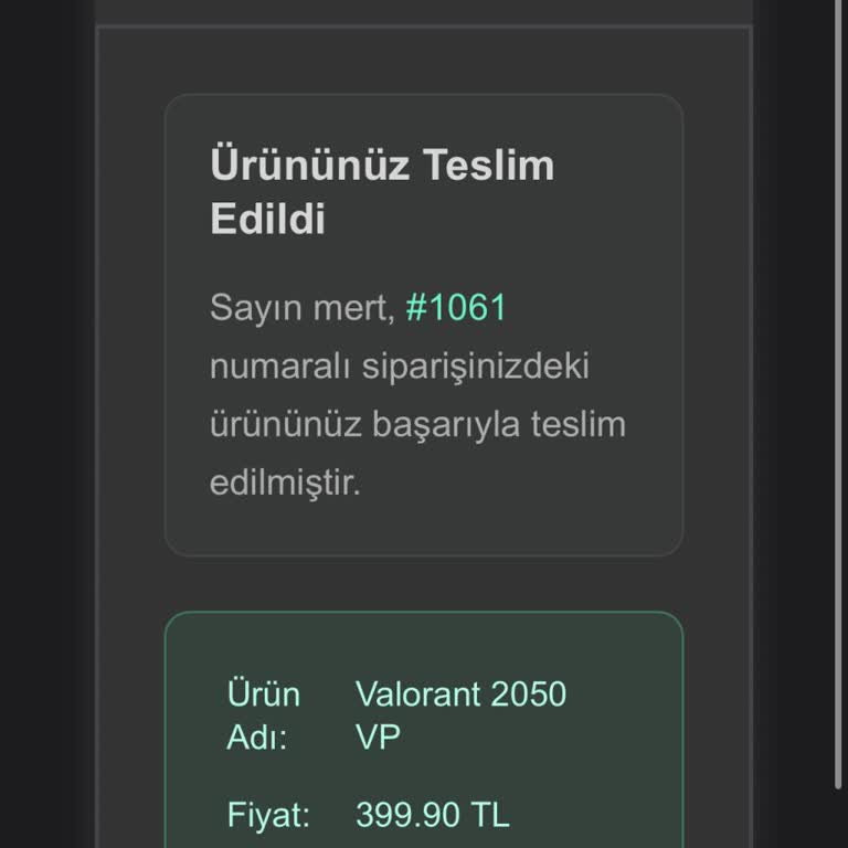 Hesapvitrini | Epinsepetin.com Satın Aldığım Valorant VP'nin Teslimatı Ve İade Süreci