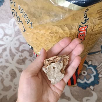 Oba Makarna'da Yabancı Cisim Şoku Ve İlgisiz Müşteri Hizmeti