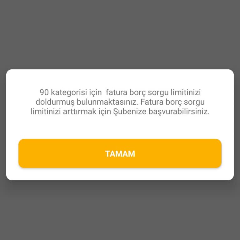 Fatura Sorgu Limiti Hatası Nedeniyle Ödeme Yapamıyorum