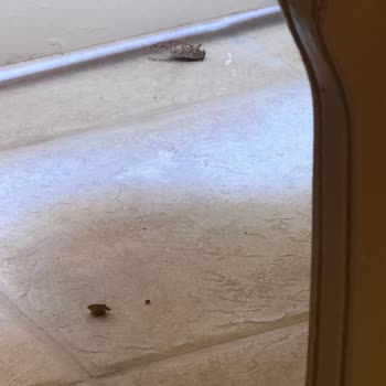 Kötü Deneyim: Temizlik, Yemek Ve Hizmette Büyük Sorunlar