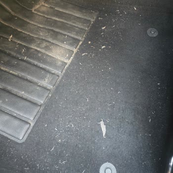 Renault Clio 2023 Paspaslarının Kötü Kalitesi Hayal Kırıklığı Yarattı