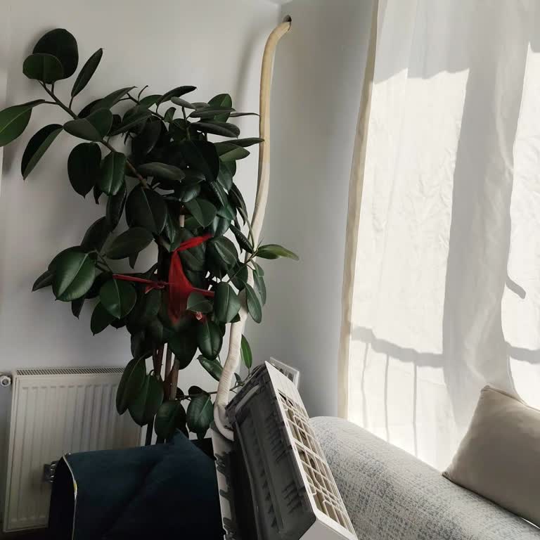 Bosch Klima Servisinden Memnun Kalmadım, Sorunum Çözülmedi