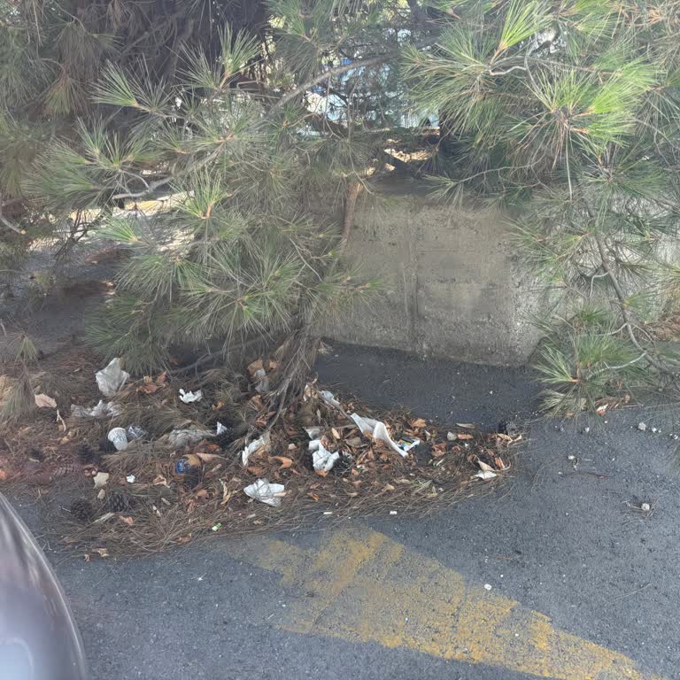 Bakırköy Otoparkında Süregelen Temizlik Sorunu Ve İlgisizlik