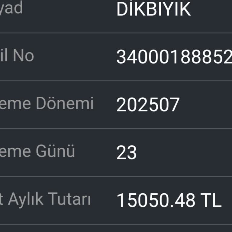 Emekli Maaşı Zammı Sonrası Fark Ödemesi Hesabıma Yatmadı