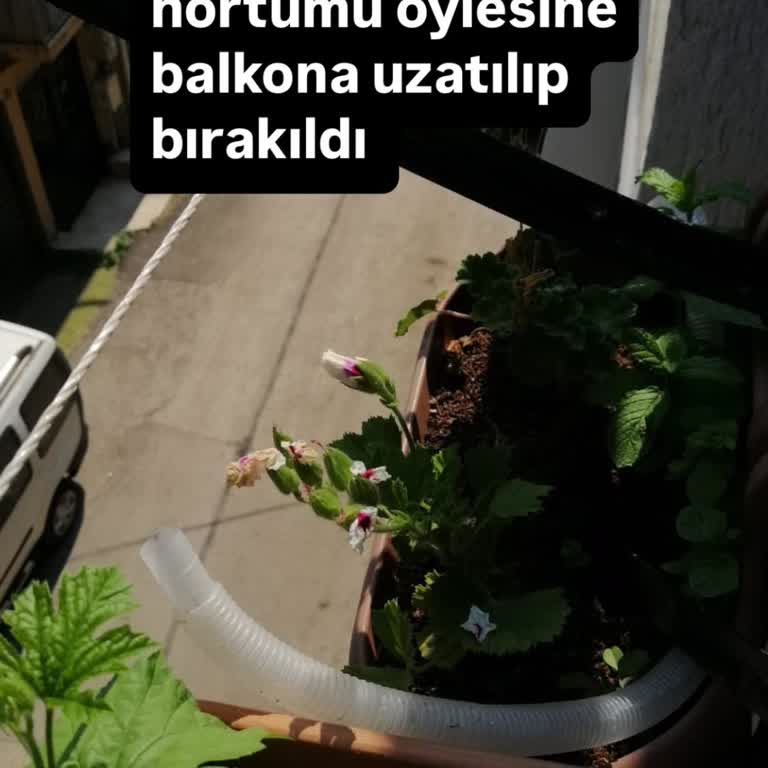 TCL Klima Kurulumunda Servis Ve Müşteri Hizmetleri Sorunu