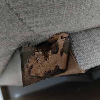 Kelebek Mobilya Koltuk Takımında Kusur Tamirat Süreci Ve Müşteri Hizmetleri Mağduriyeti