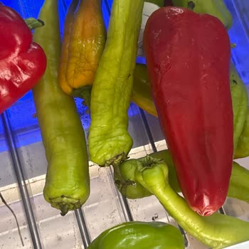 Arızalı Buzdolabımın Sürekli Bozulması Ve Değişim Talebim