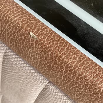 Bambi Yatak’tan Gelen Yıpranmış Komodinler Ve İlgisiz Servis Süreci