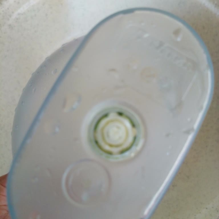 Brita Sürahide Yosunlanma Sorunu Ve Çözüm Talebi