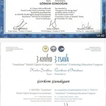 Ücretsiz Kedi Sahiplenme Sürecinde Yaşanan Güven Sorunu