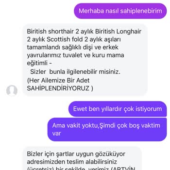 Ücretsiz Kedi Sahiplenme Sürecinde Yaşanan Güven Sorunu