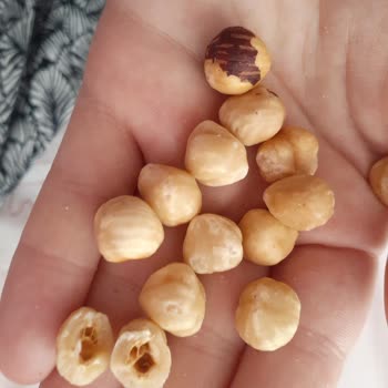 A101 Aldığım Fındık İçi Kurtlu Çıktı, İade Talebim Var