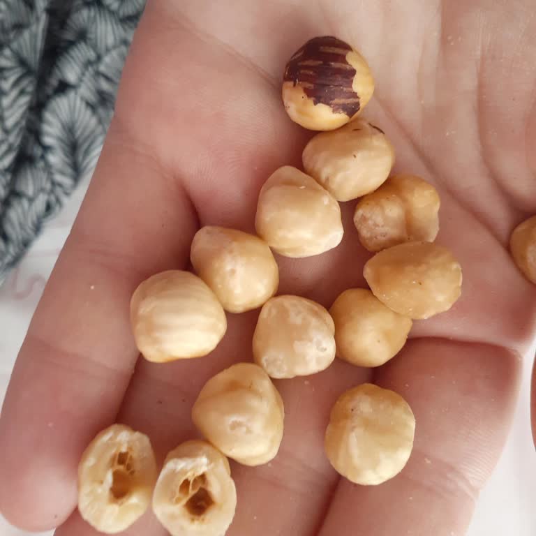 A101 Aldığım Fındık İçi Kurtlu Çıktı, İade Talebim Var