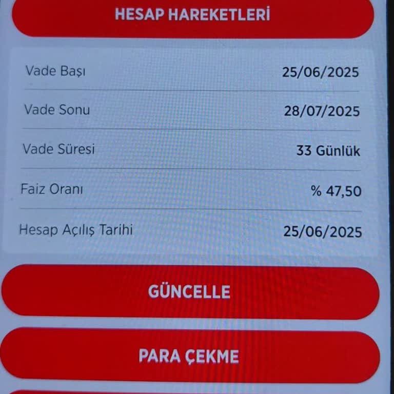 Vadeli Hesapta Faiz Getirisi Yansımıyor: Hesap Bakiyesi Değişmedi
