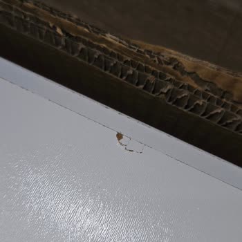 Kırık Dolap Teslimatı Ve İade Sürecinde Yaşanan Sorunlar